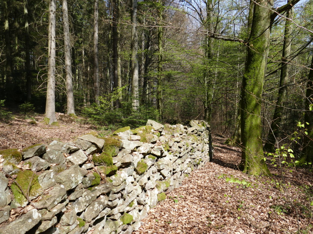 wildmauer hohenwart