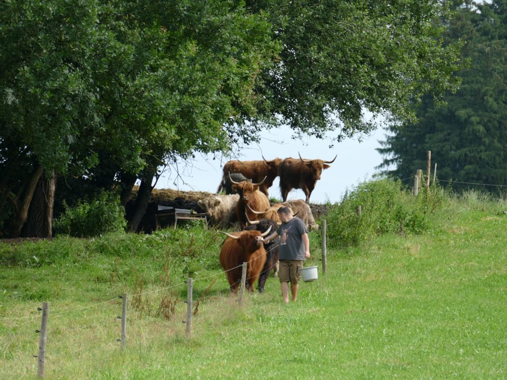 schotten im allgaeu anfuettern