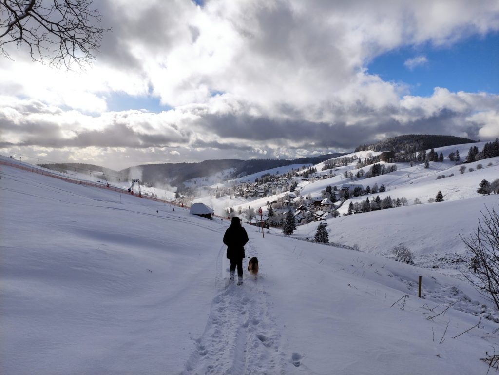 Feldberg Schneewanderung