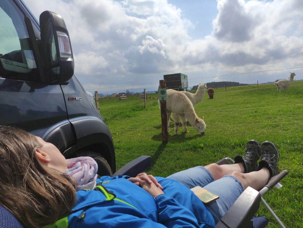 Eselhof Allinger Stellplatz staybetter