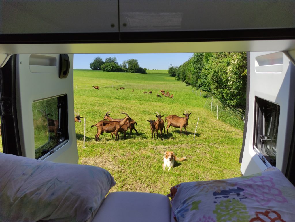 jutzys kaesekueche ausblick hecktuere
