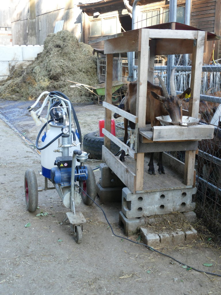 jutzys kaesekueche -melkmaschine