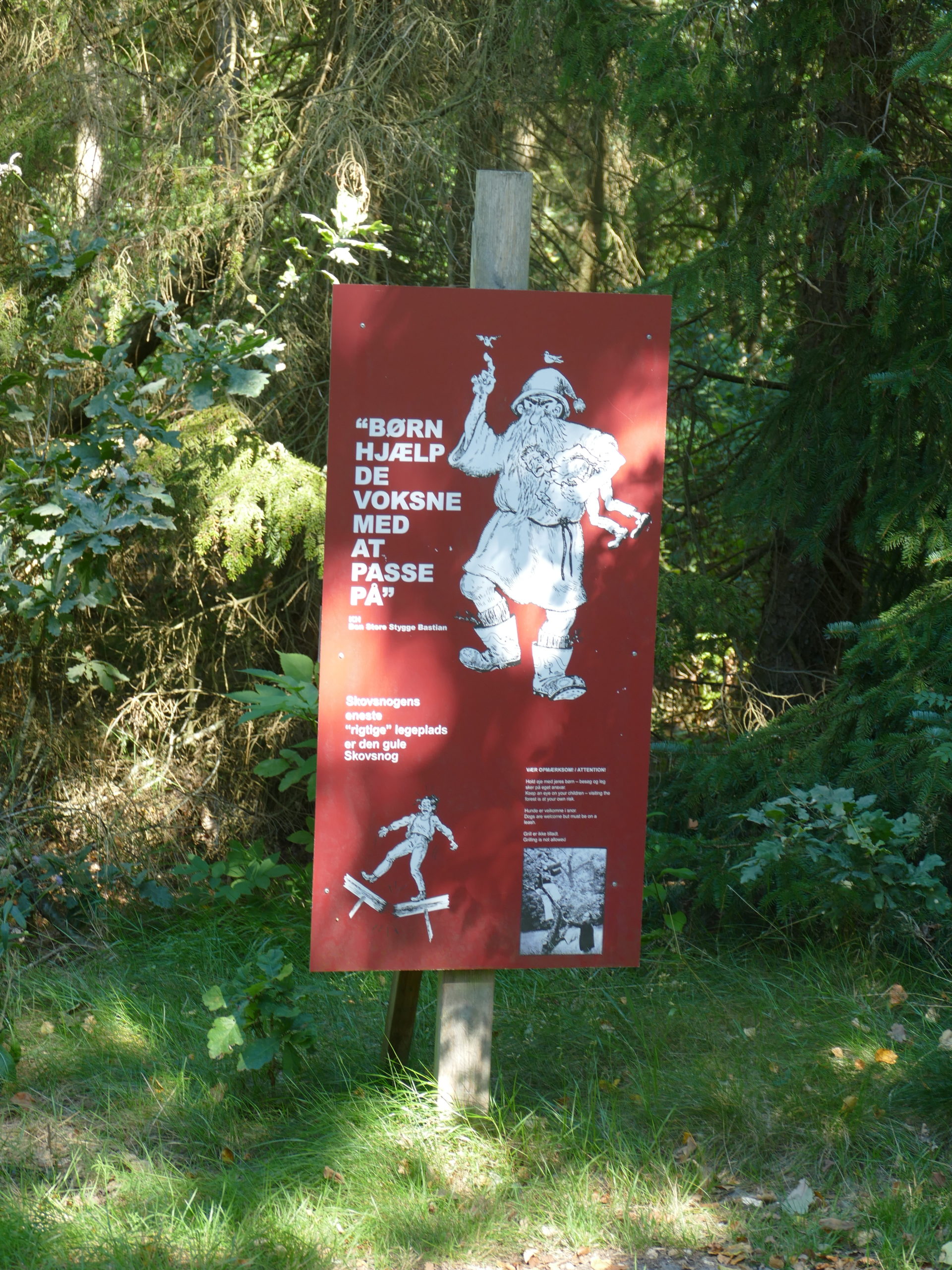 Deep Forest Art Land