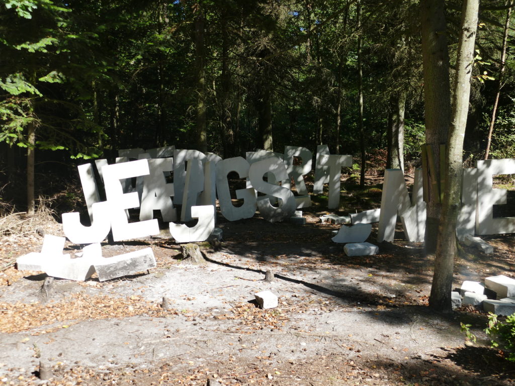 Deep Forest Art Land
