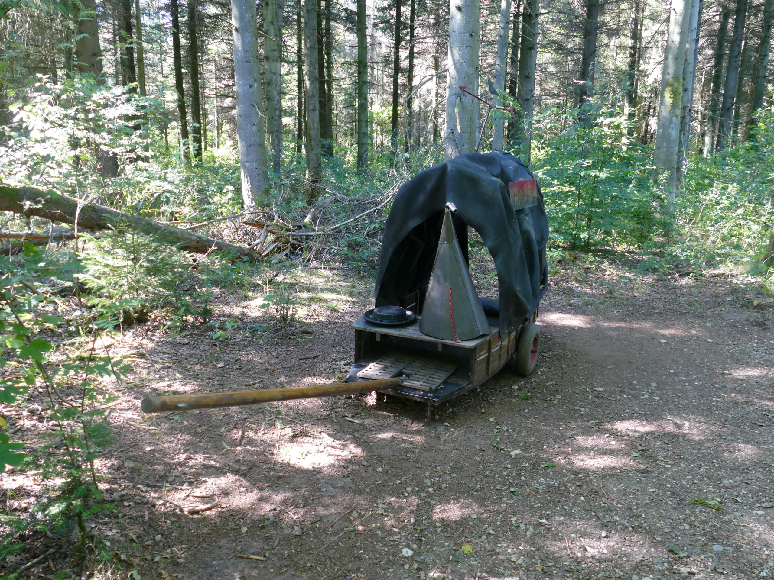 Deep Forest Art Land
