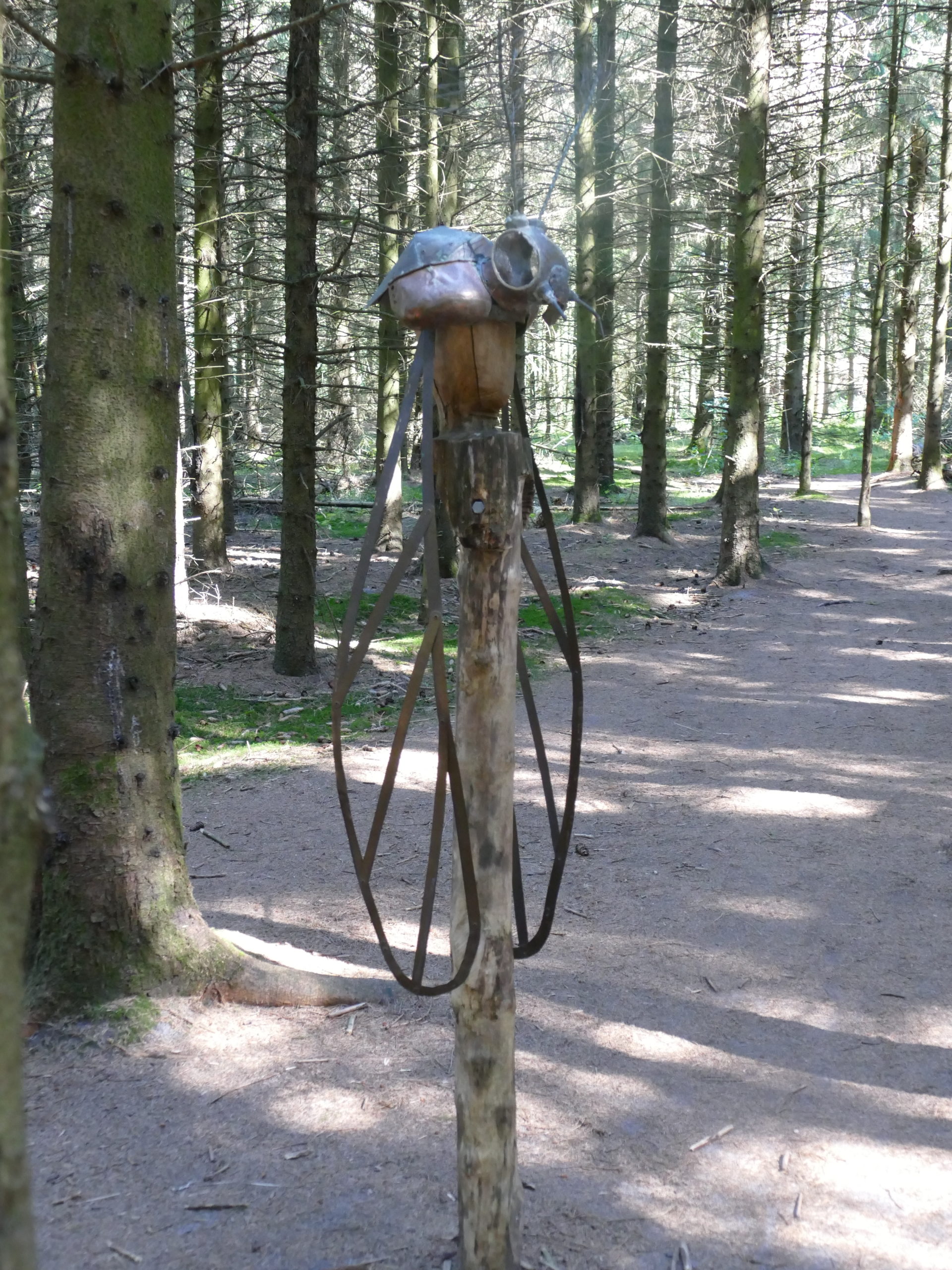 Deep Forest Art Land