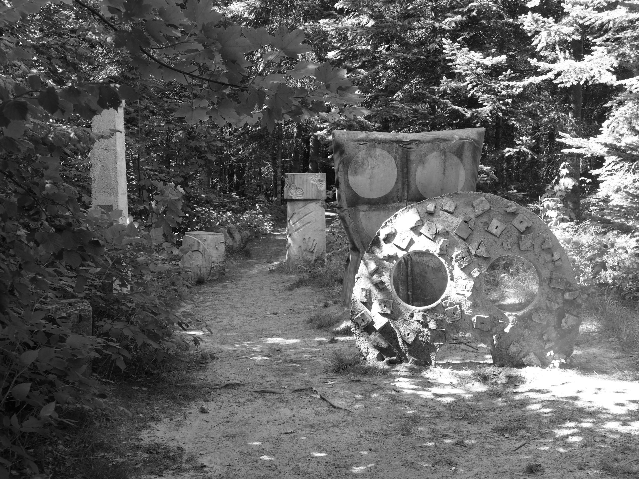 Deep Forest Art Land