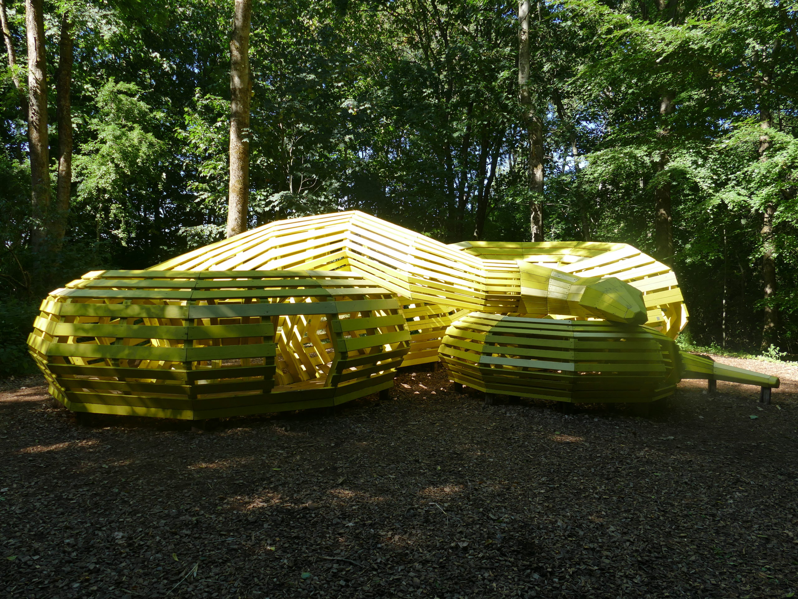 Deep Forest Art Land
