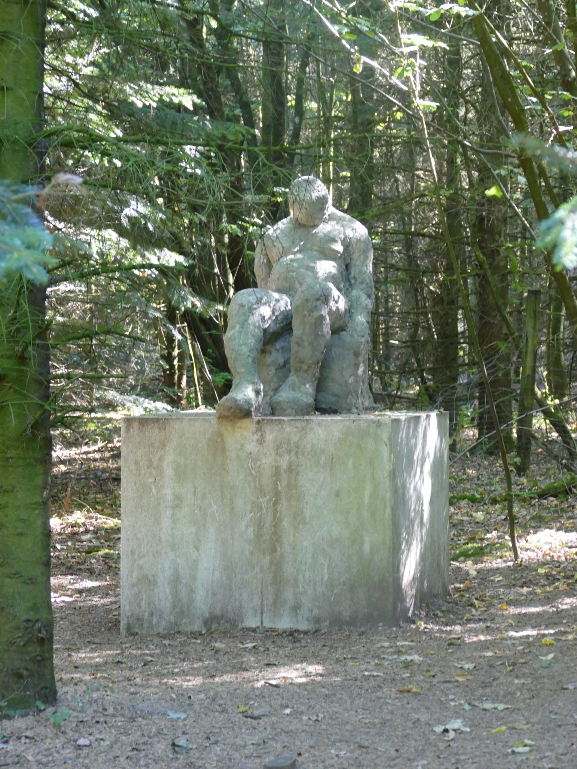 Deep Forest Art Land