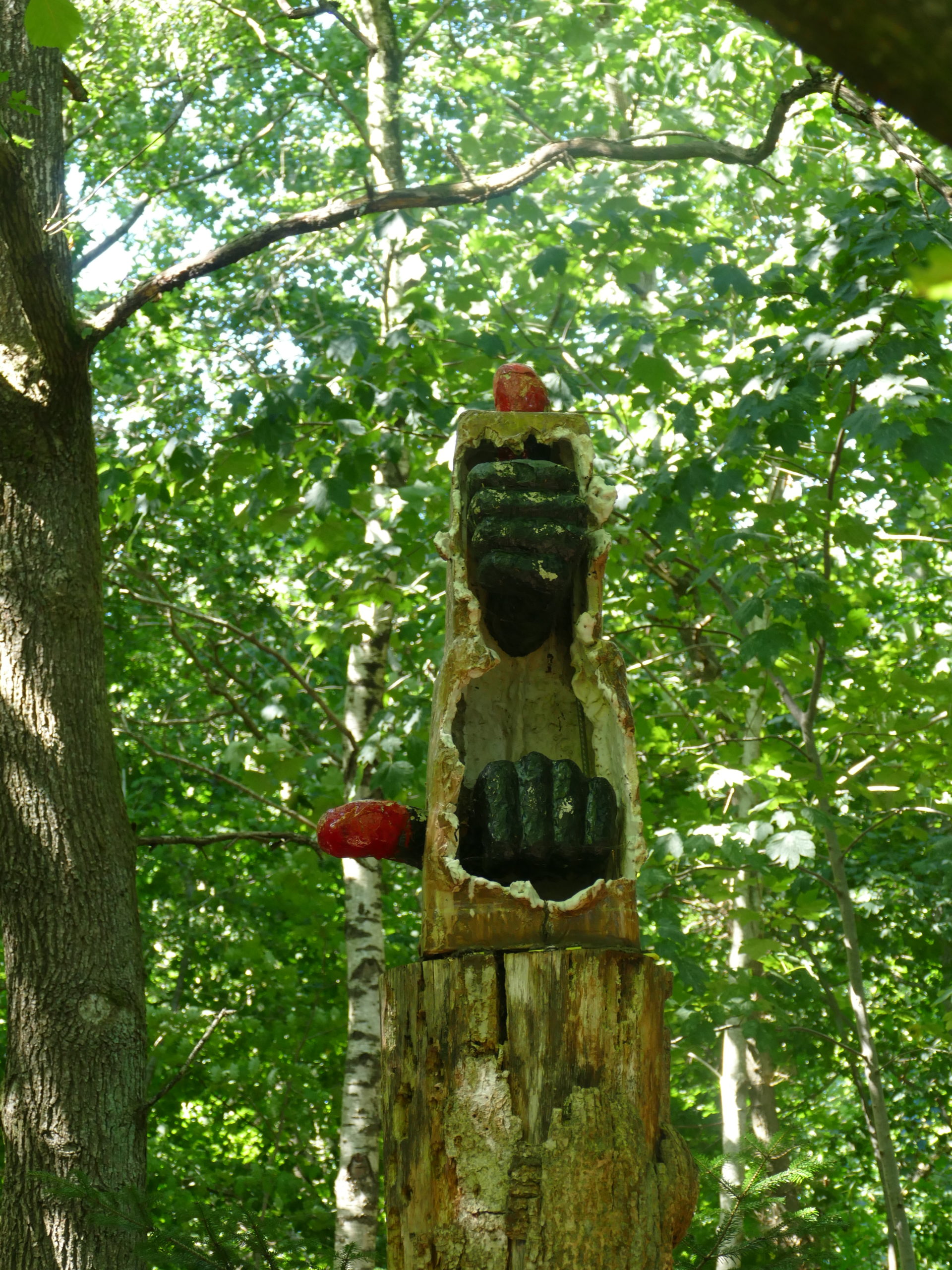 Deep Forest Art Land