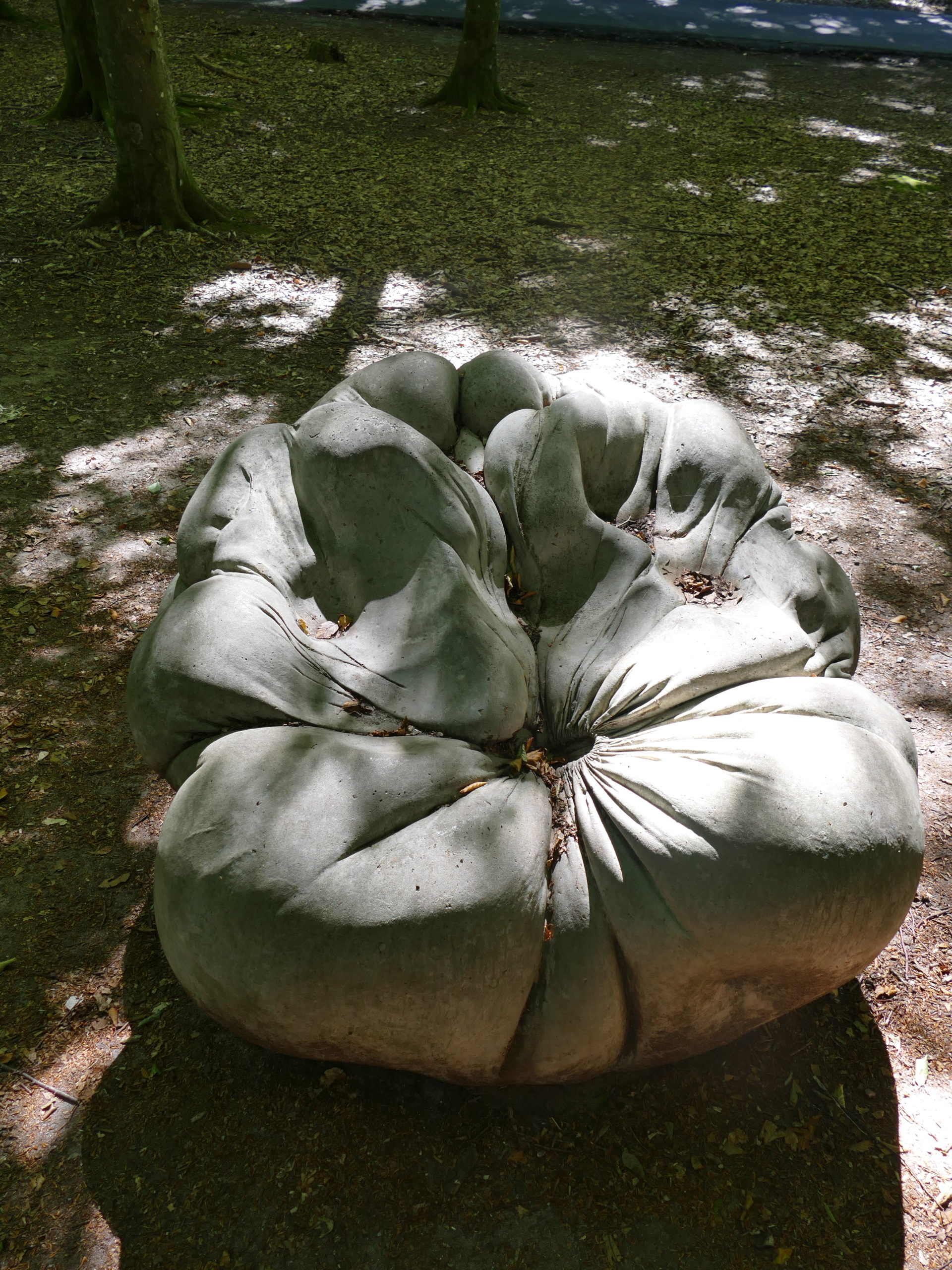 Deep Forest Art Land