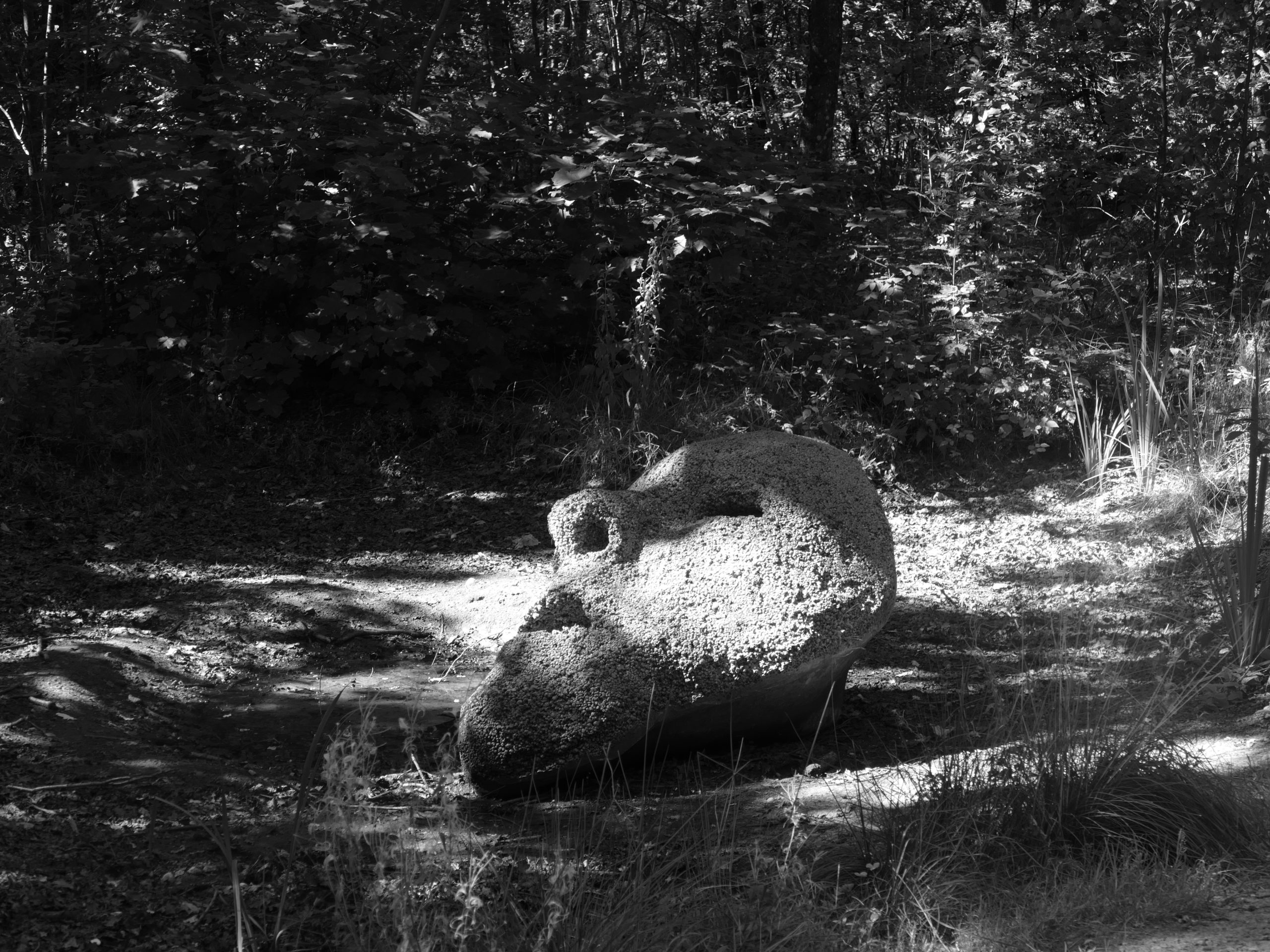 Deep Forest Art Land
