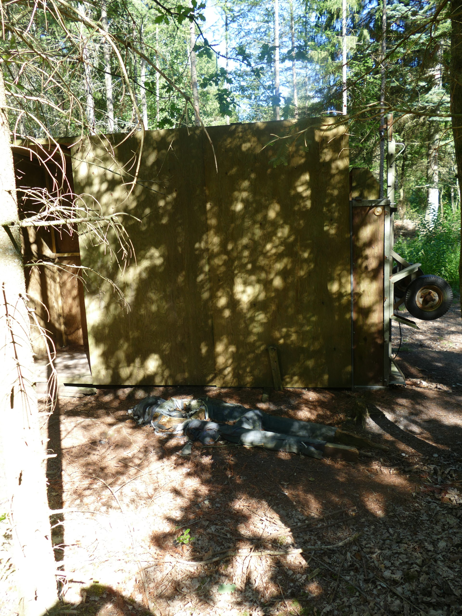 Deep Forest Art Land