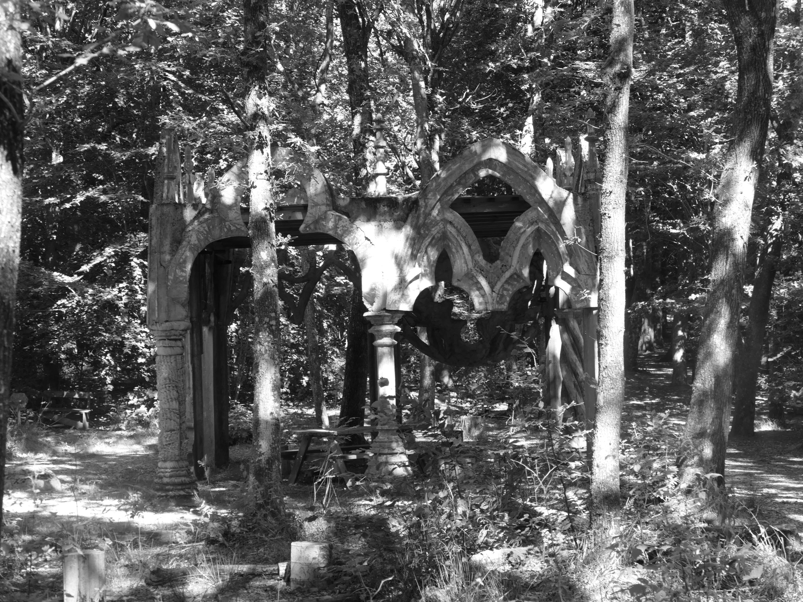 Deep Forest Art Land