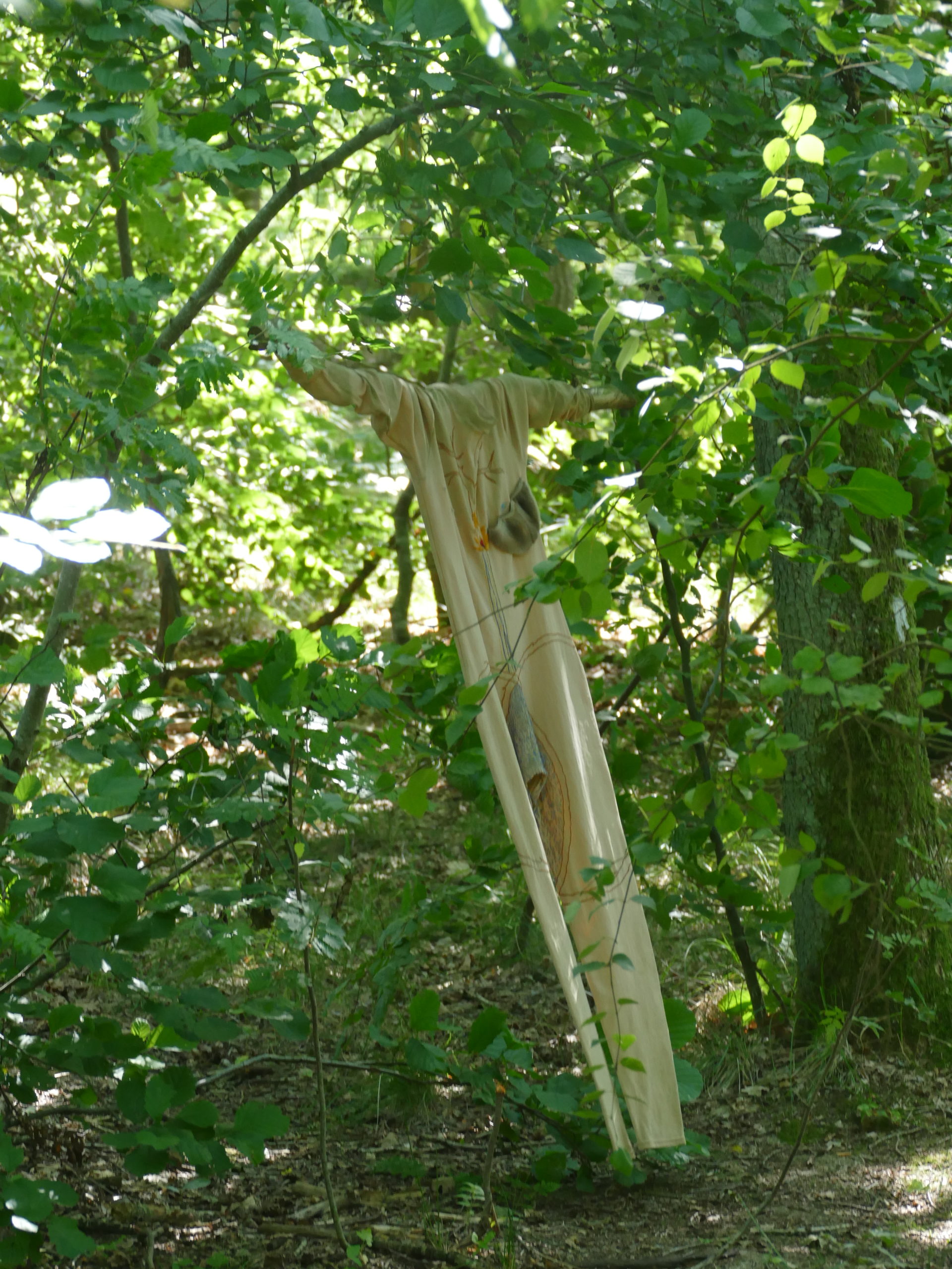 Deep Forest Art Land