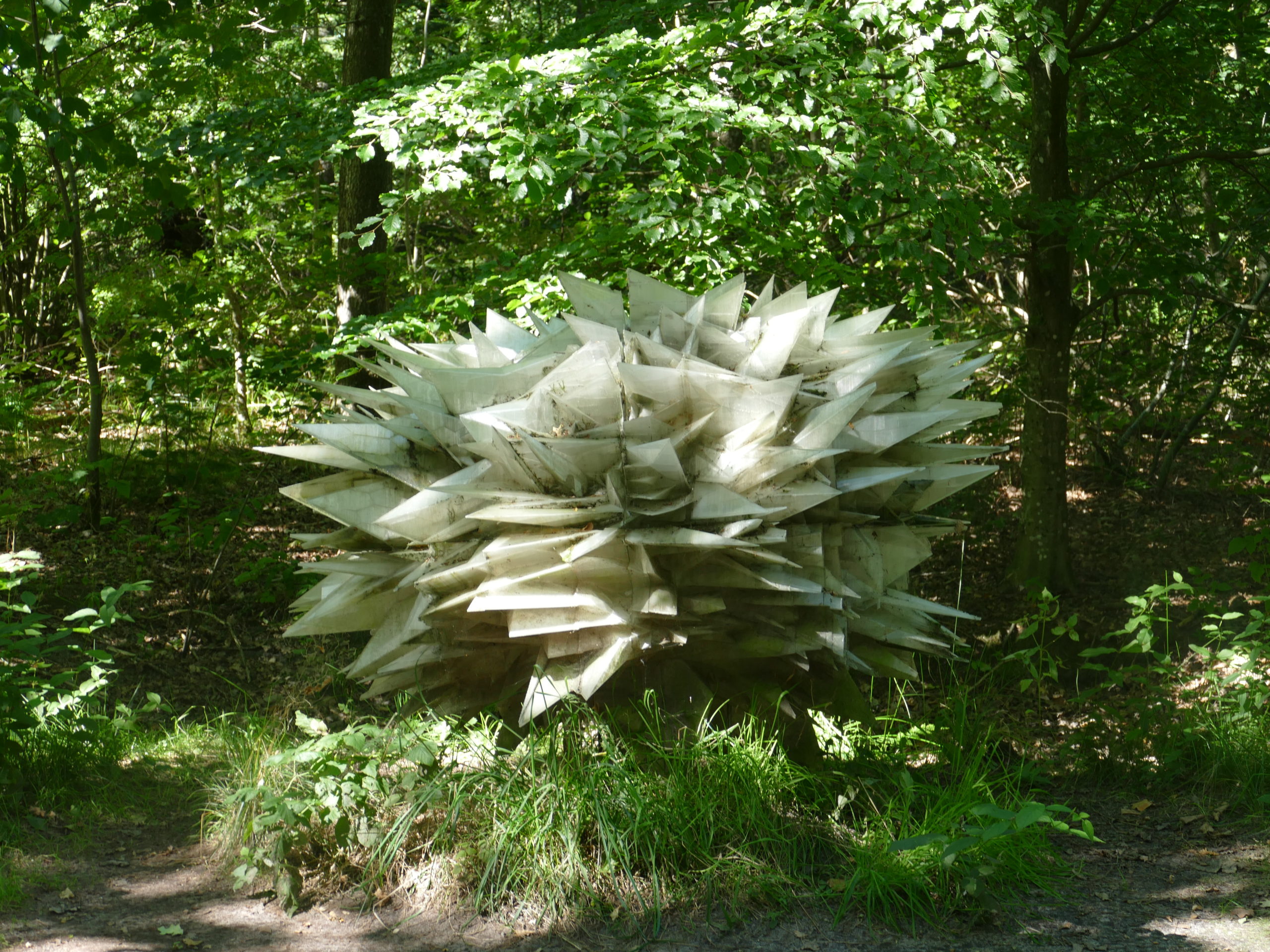 Deep Forest Art Land