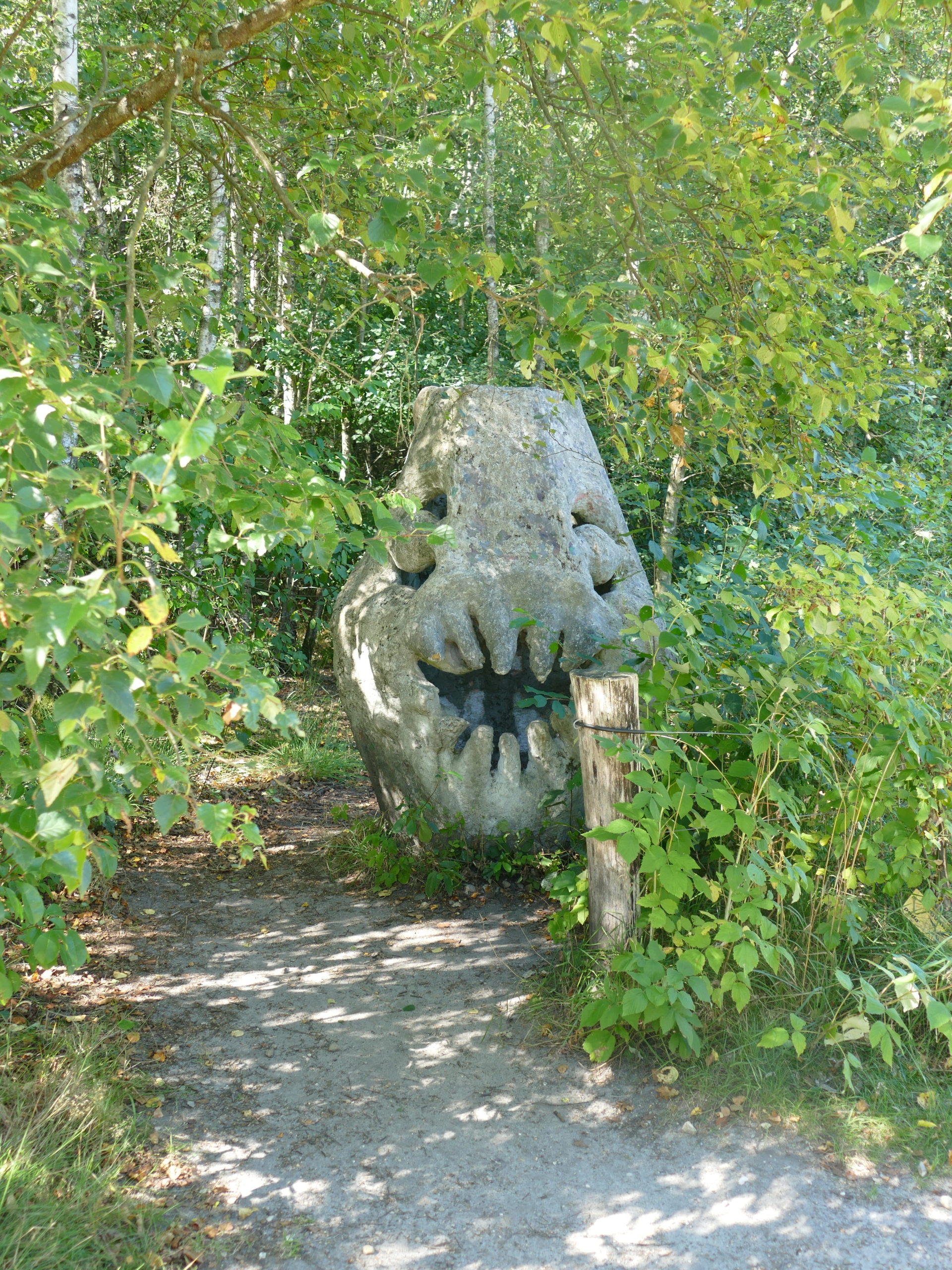 Deep Forest Art Land
