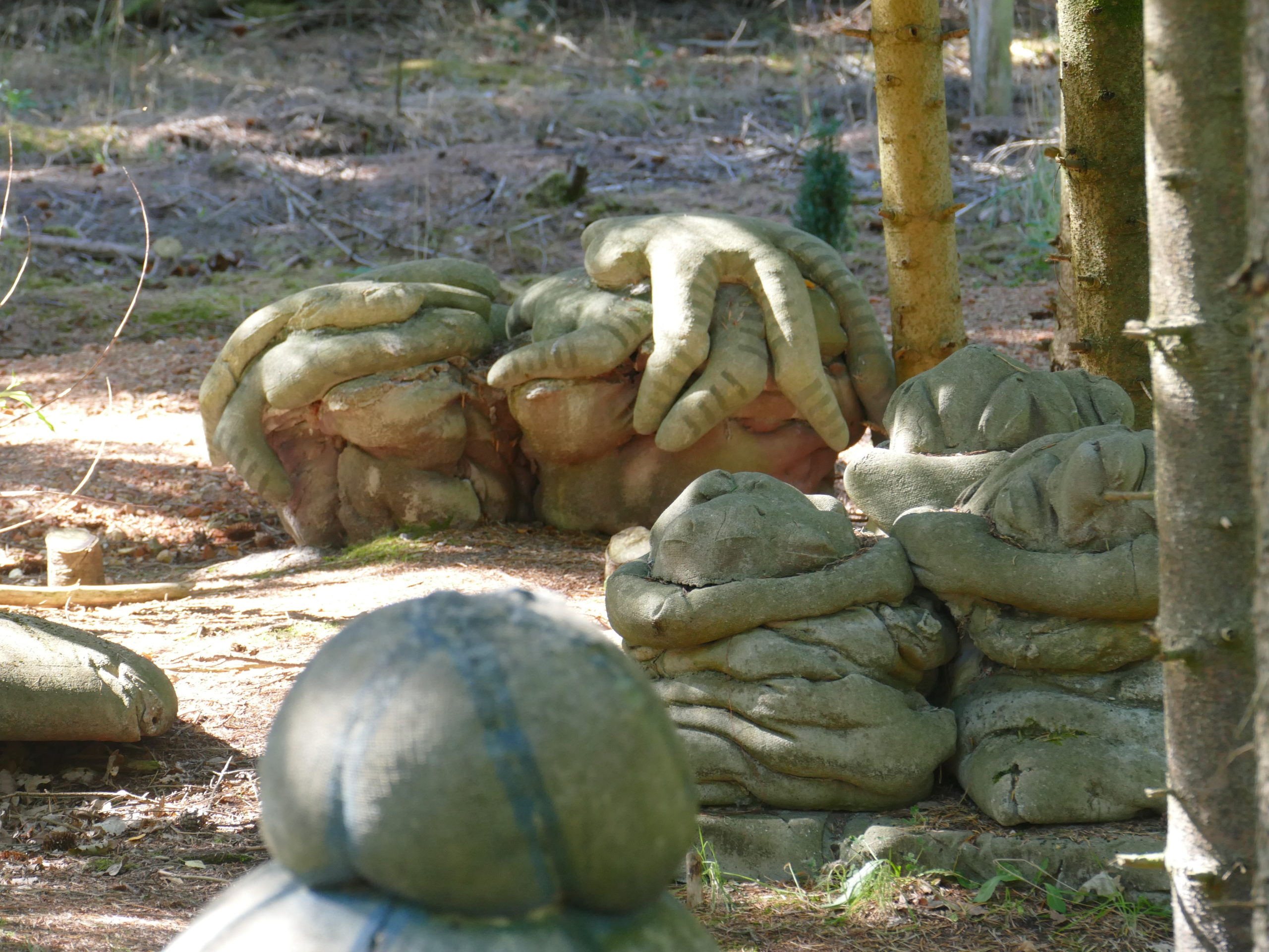 Deep Forest Art Land