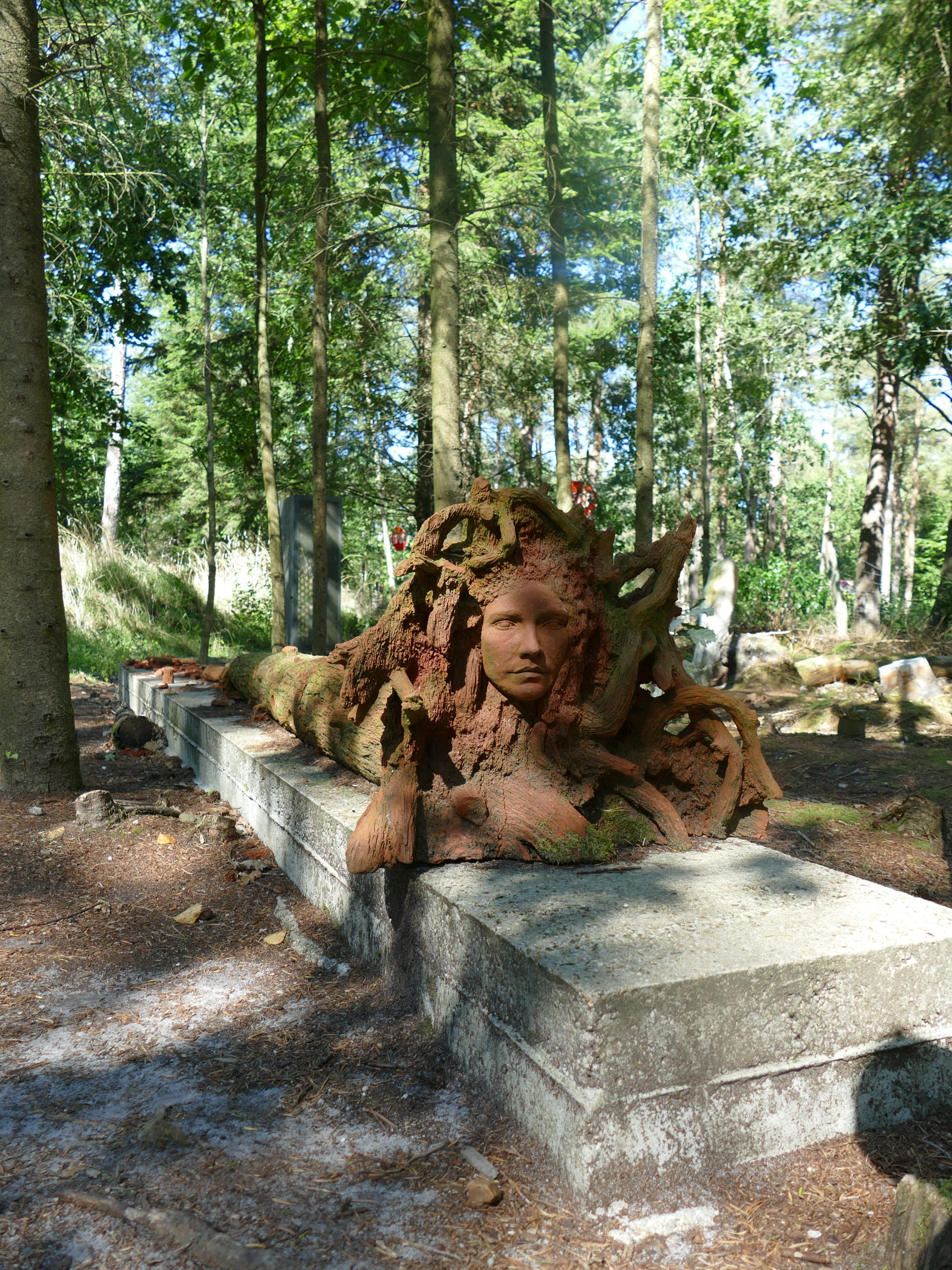 Deep Forest Art Land
