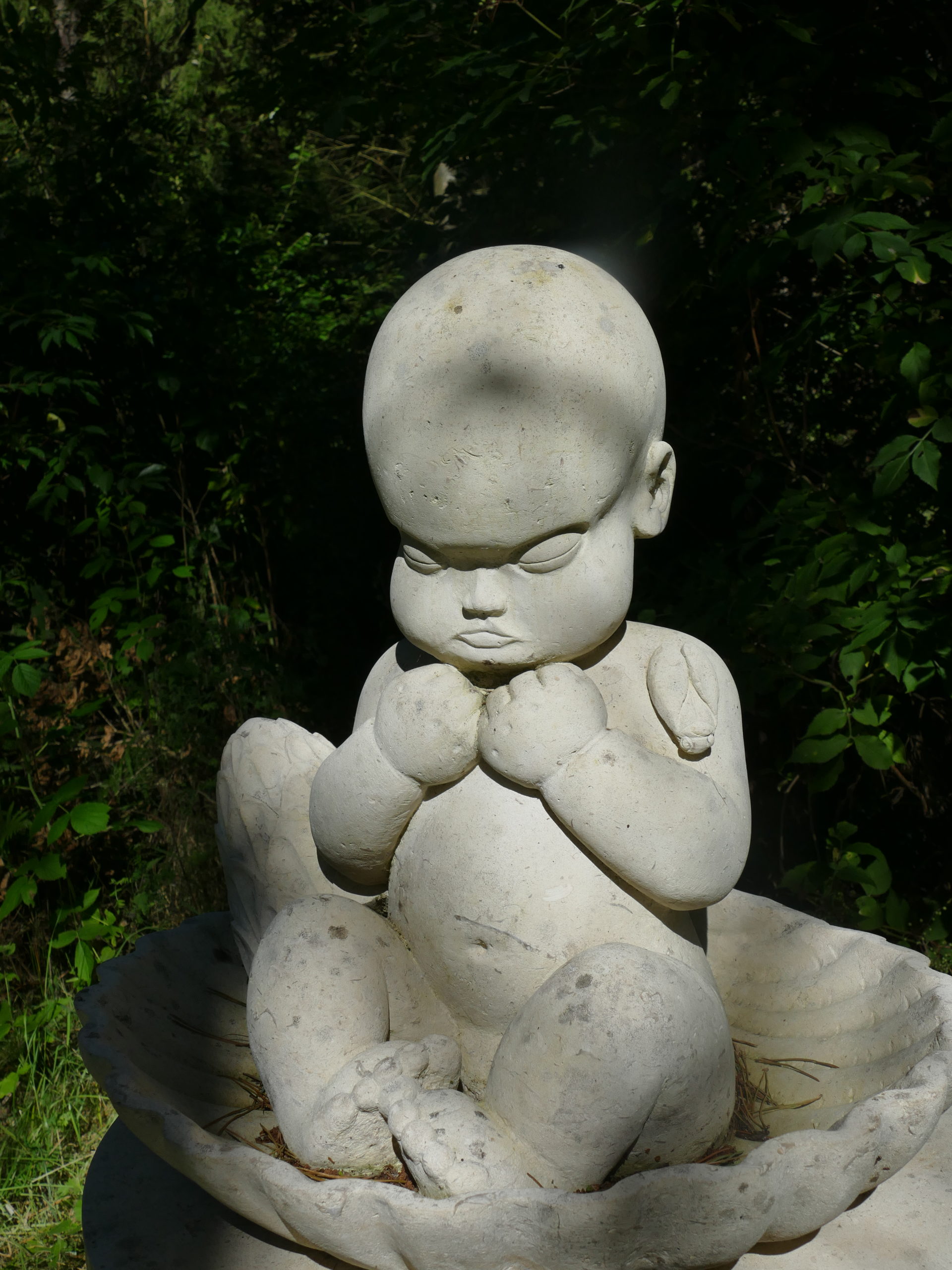 Deep Forest Art Land