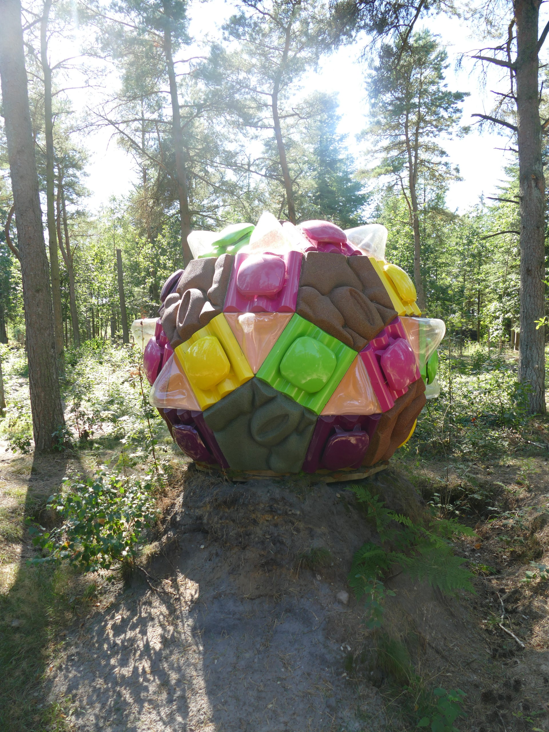 Deep Forest Art Land