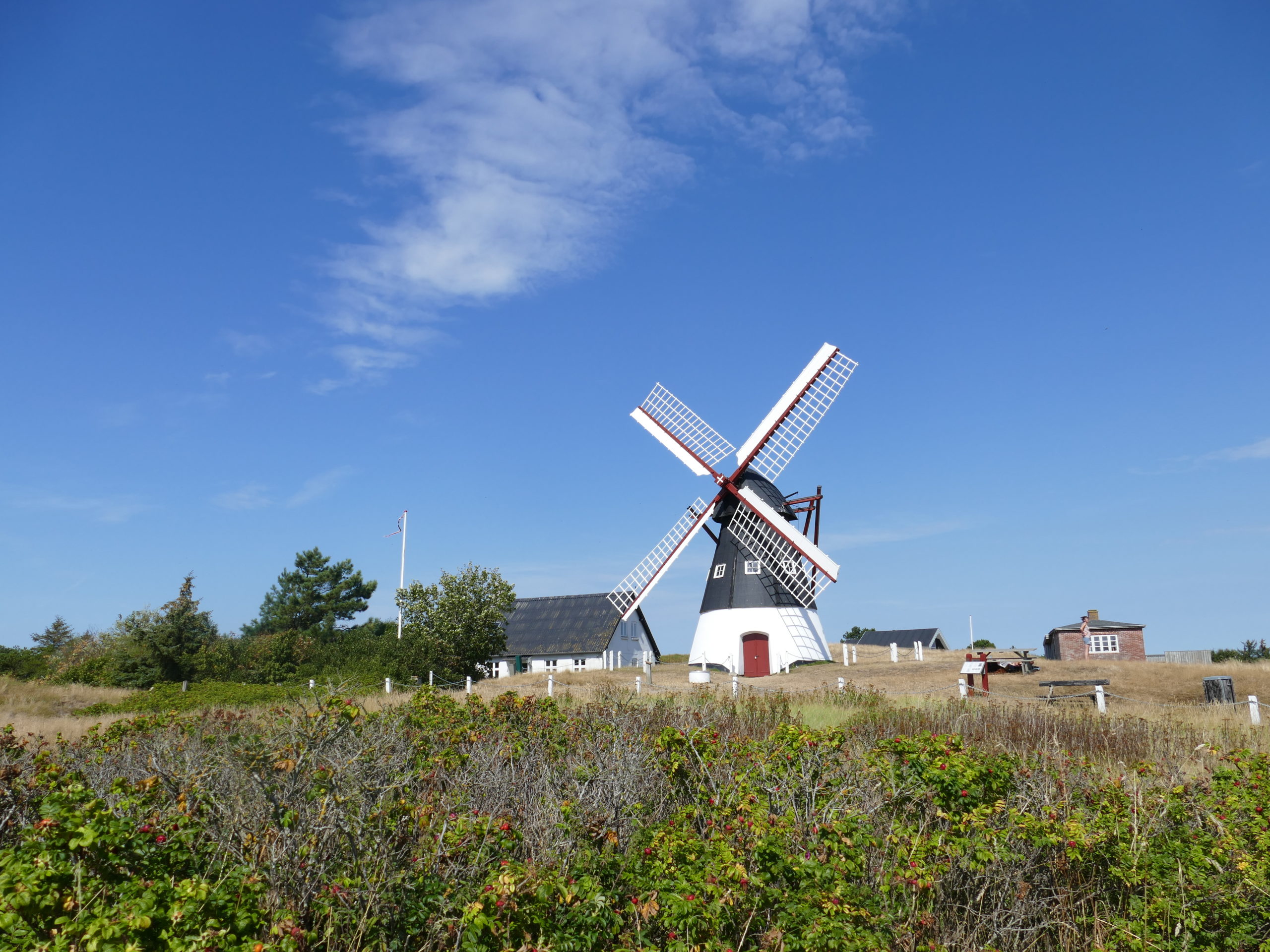 Windmühle Mandö