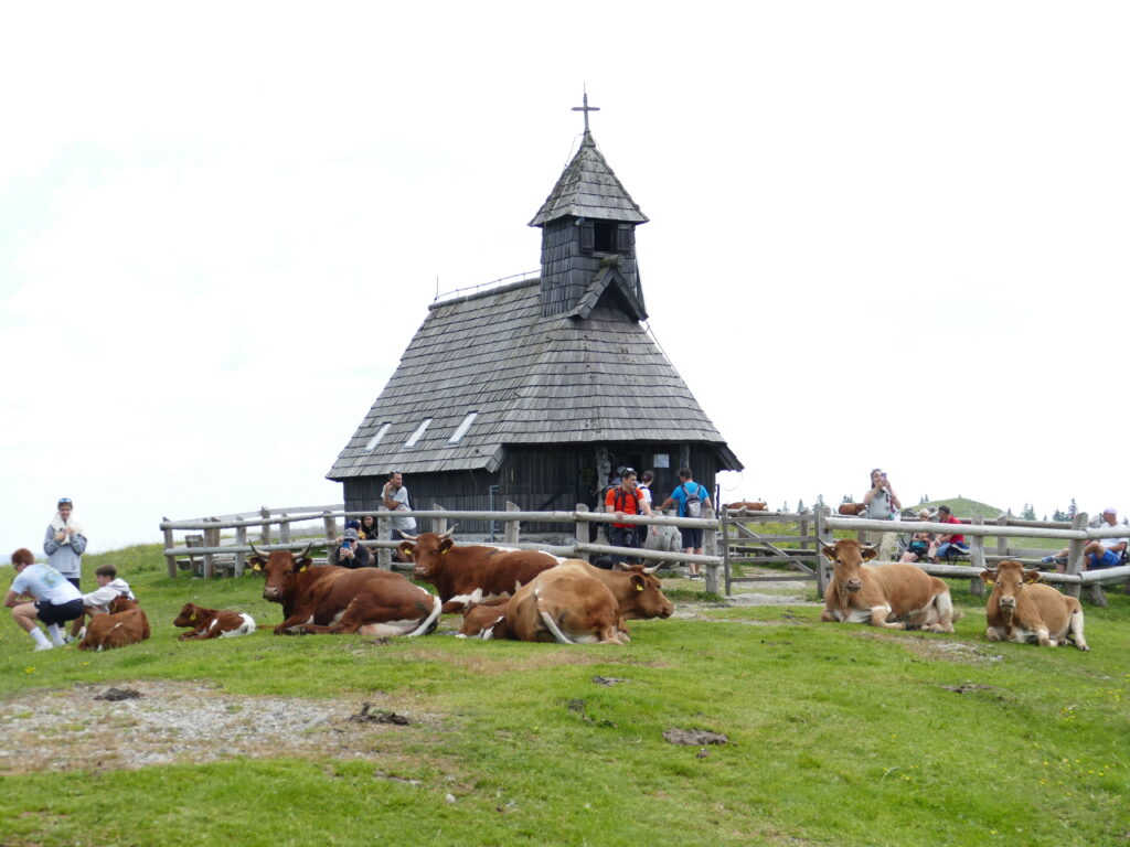 Velika Planina Kirche